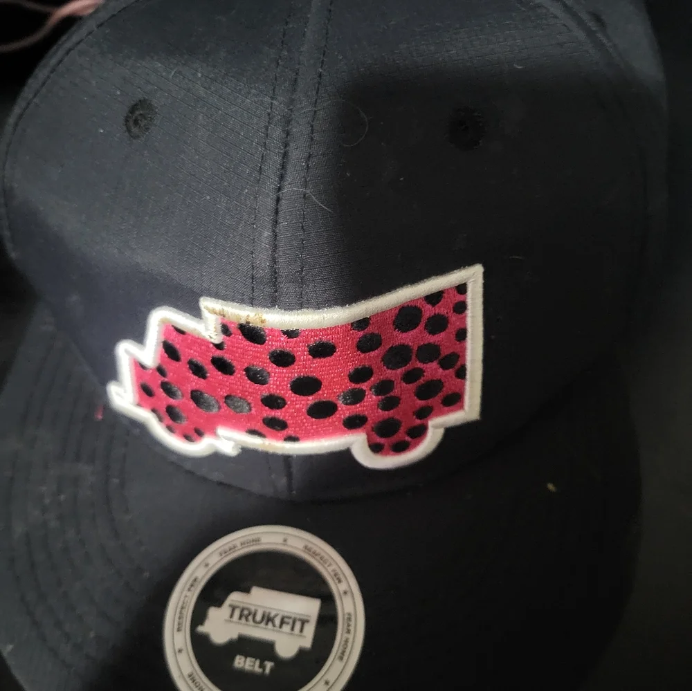 Snapbacks - Picture 4 of 14